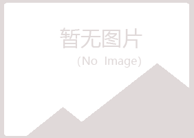 阿勒泰盼山化学有限公司